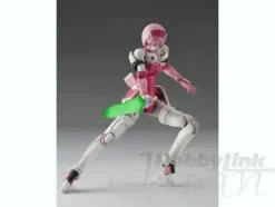 1/12 RAcaseal Elenor Ver. APSY
