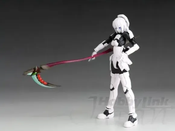 1/12 RAcaseal Whitill Ver. APSY