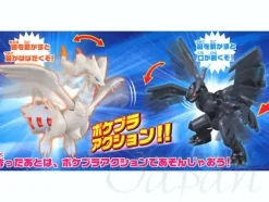 Reshiram & Zekrom Set
