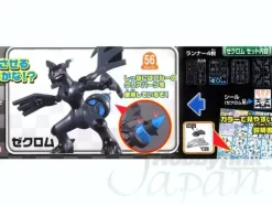Reshiram & Zekrom Set