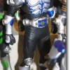 RH EX Kamen Rider Taiga