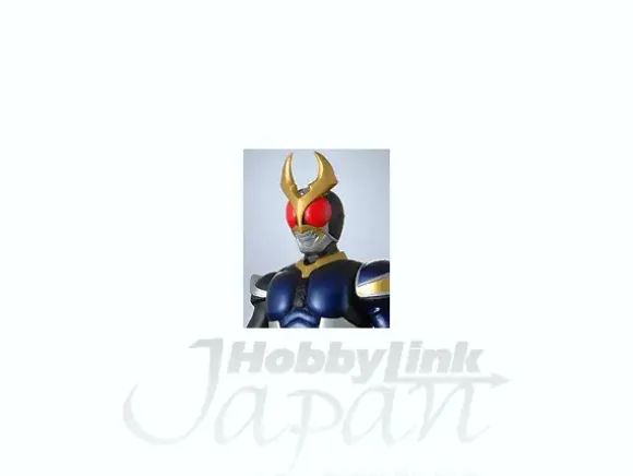 RH21 Kamen Rider Agito Storm Form