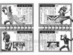 Rider 7