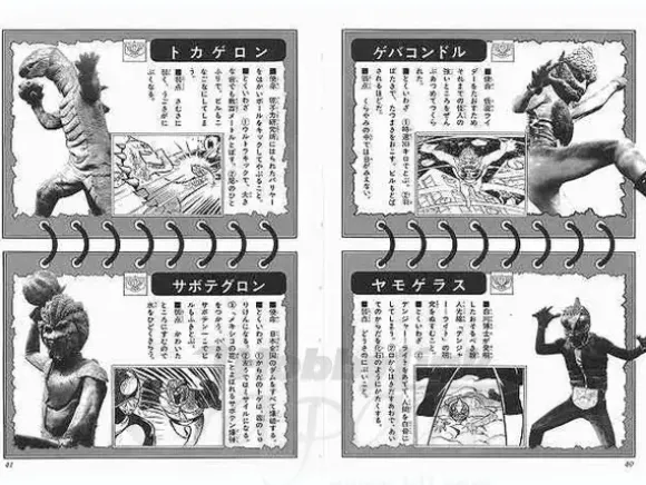 Rider 7