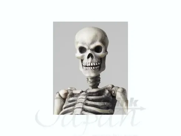Sci-Fi Revoltech Skeletal Warrior