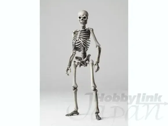 Sci-Fi Revoltech Skeletal Warrior
