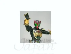 S.H.Figuarts Kamen Rider OOO TaToBa Combo