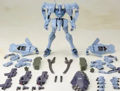 Shiranui Isumi Valkyries Full Option Set