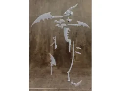 Skull Massacre