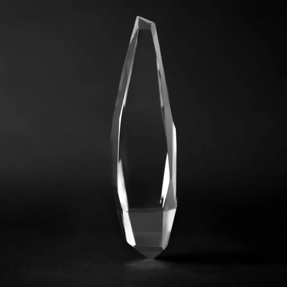 1/1 Star Trek: The Next Generation Picard Desk Crystal