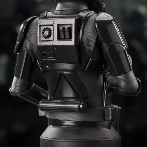 1/6 Star Wars The Mandalorian / Death Trooper Bust