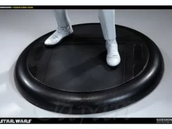 1/4 Storm Trooper Premium Format Figure