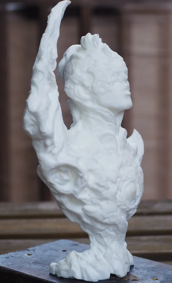 the Beautiful / Bizarre Ones tbbo.EX.001 a portrait of the moon White