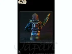 1/6 The Old Republic: Shae Vizla Collectible Mini Bust