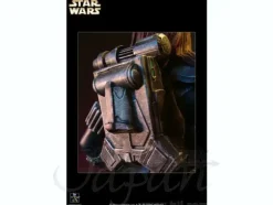 1/6 The Old Republic: Shae Vizla Collectible Mini Bust