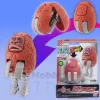 Ultra-E.G. Pigmon