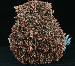 Ultra Q Decayed Garamon Art Master 3D