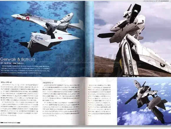 Variable Fighter Master File: VF-19 Excalibur