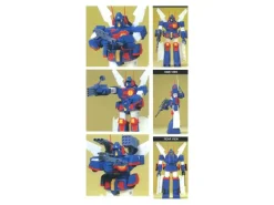 1/100 Xabungle Type